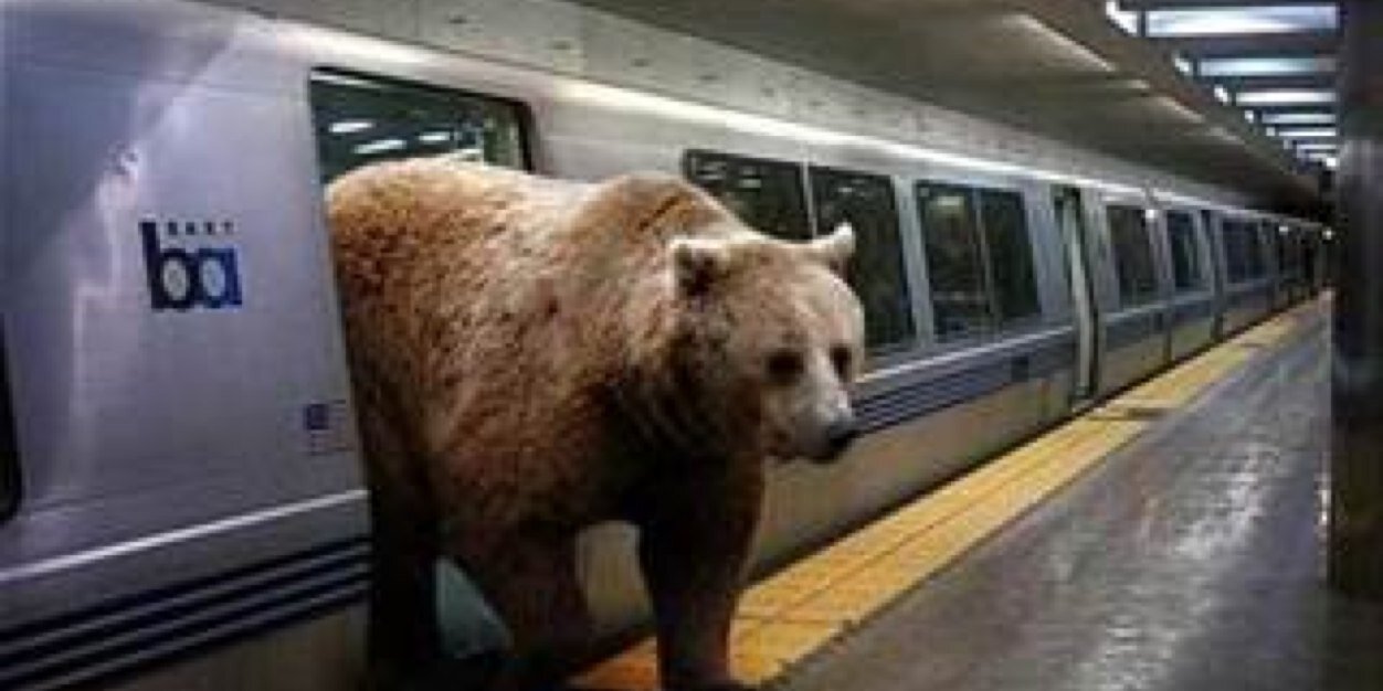UofMTrain's profile banner image