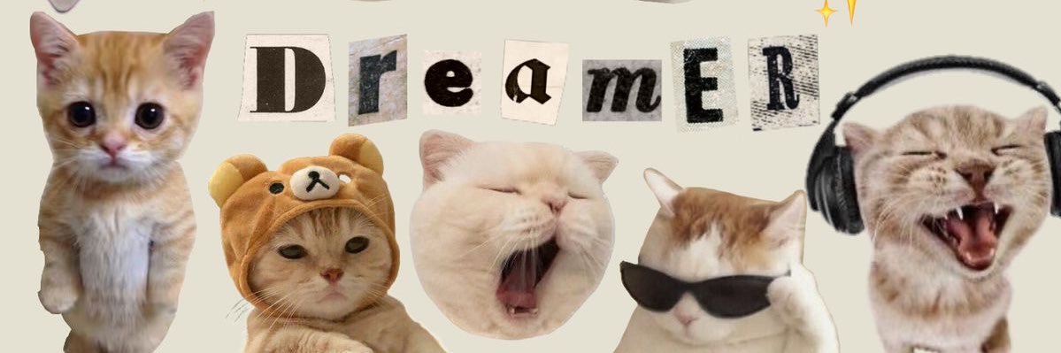 cheesyachu's profile banner image