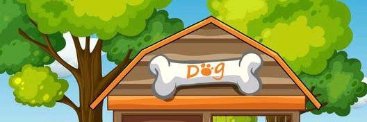 Dogtor🐶 banner