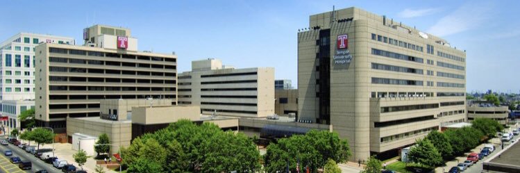 Temple IM Residency banner