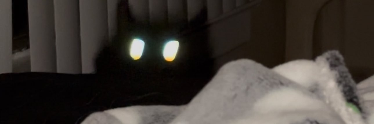 moenotfound's profile banner image