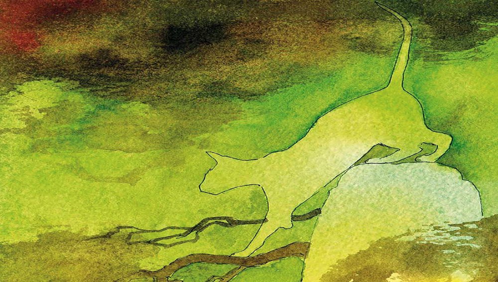 dona818's profile banner image