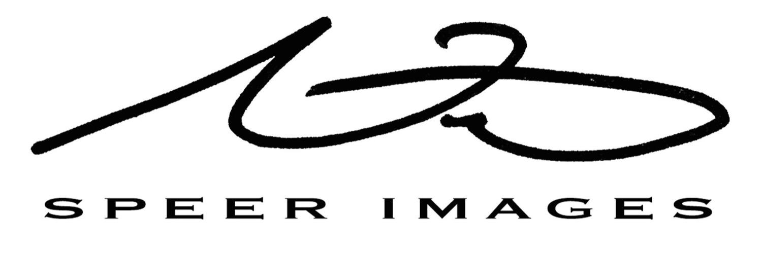 Nicholas Speer banner