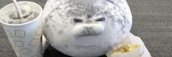 Sawft Pawjob🏳️‍⚧️ banner