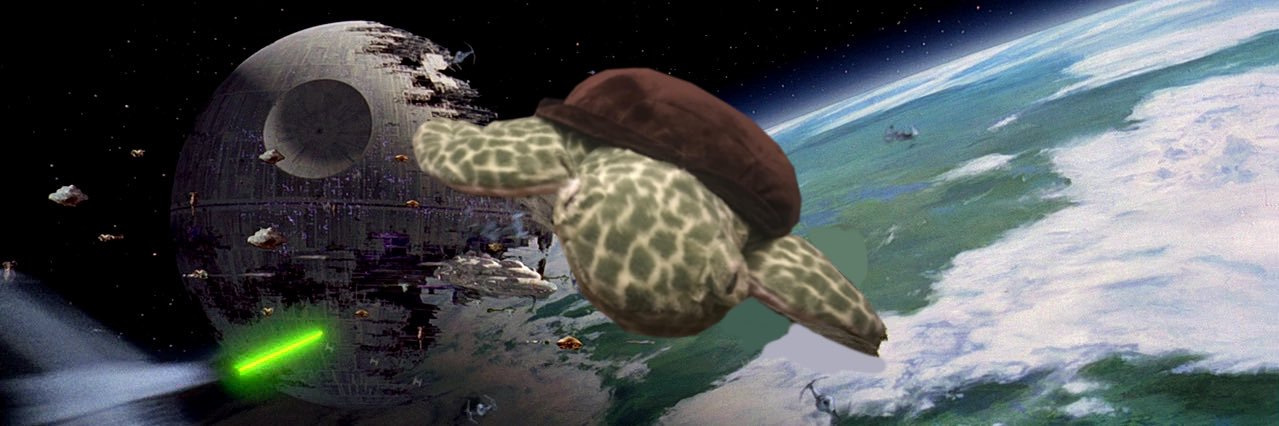 The Tilting Turtle 🐢 banner