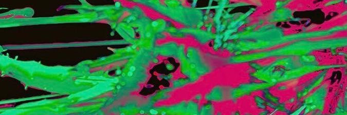 peebligist's profile banner image