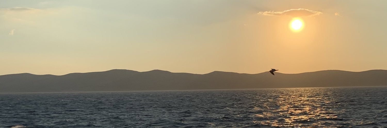 chuuuuaks's profile banner image