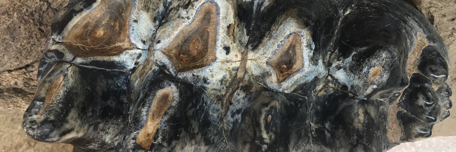 CMIPalaeo's profile banner image