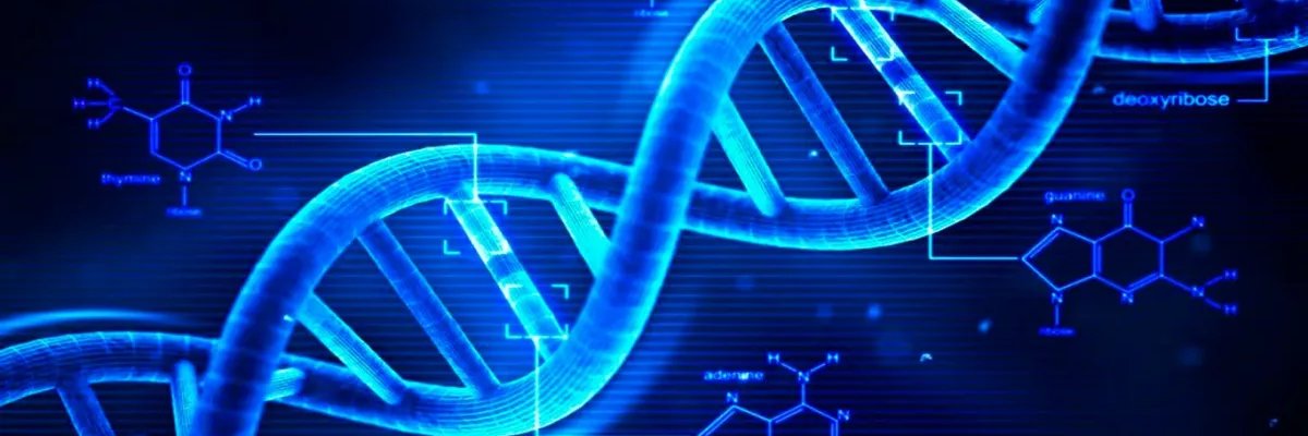 Chain Reaction banner