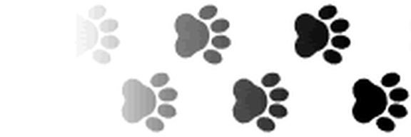queerman67's profile banner image