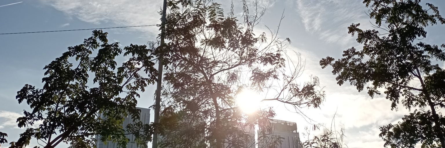 cintilubis's profile banner image