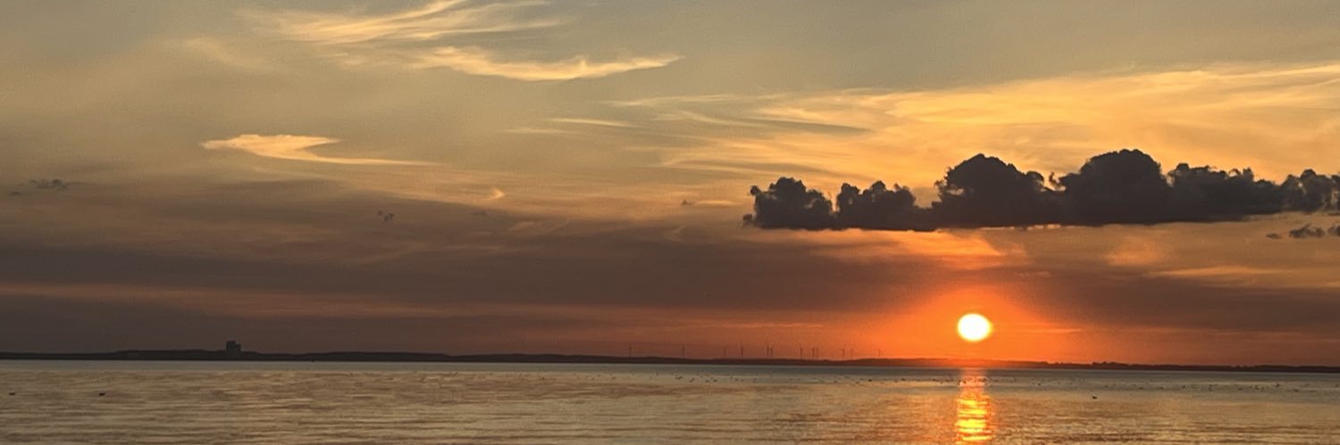 Die Schildkröte banner