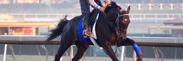 litt_jason Profile Banner