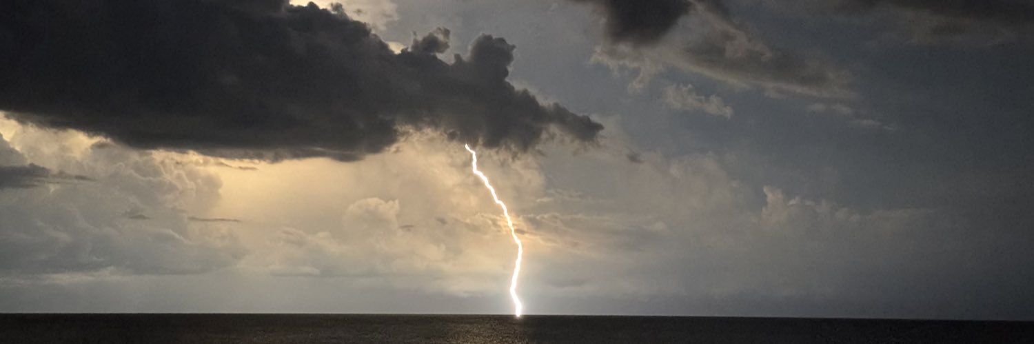 Hingle McCringleberry banner