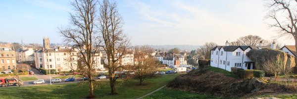 TWellsCouncil Profile Banner