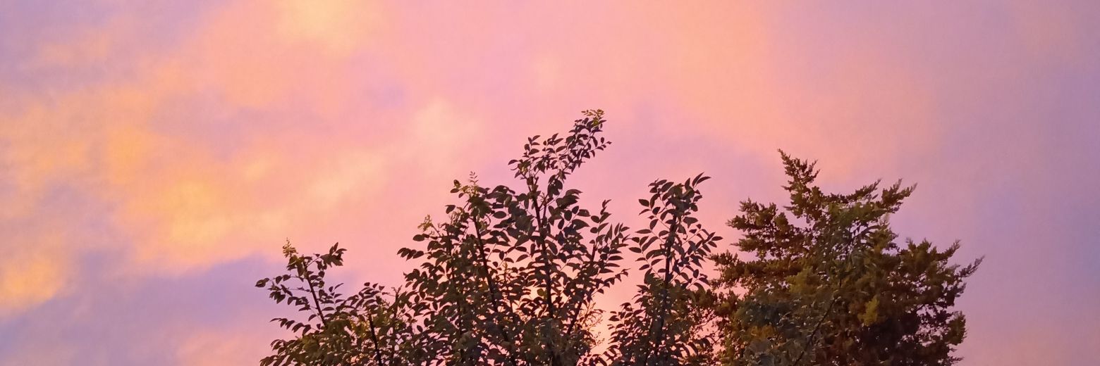 LeoWesner's profile banner image