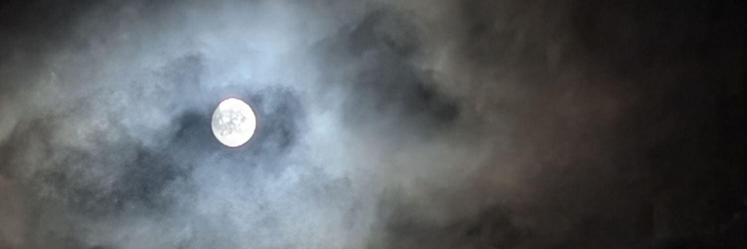 theHtree's profile banner image