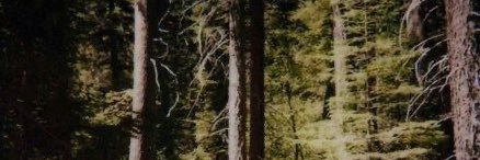 martybrown0701's profile banner image