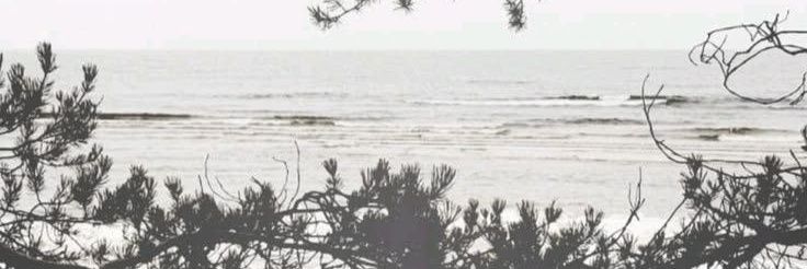 𝗔𝗭𝗔𝗥𝗜𝗘𝗟. banner