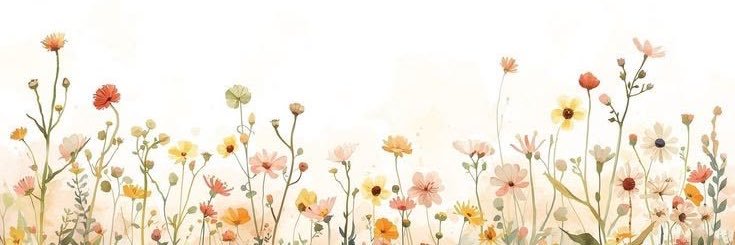 Momo 🌸 banner