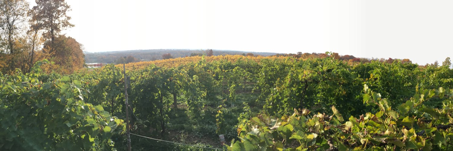 Matt Vodraska banner