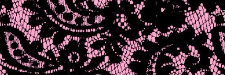 dani banner