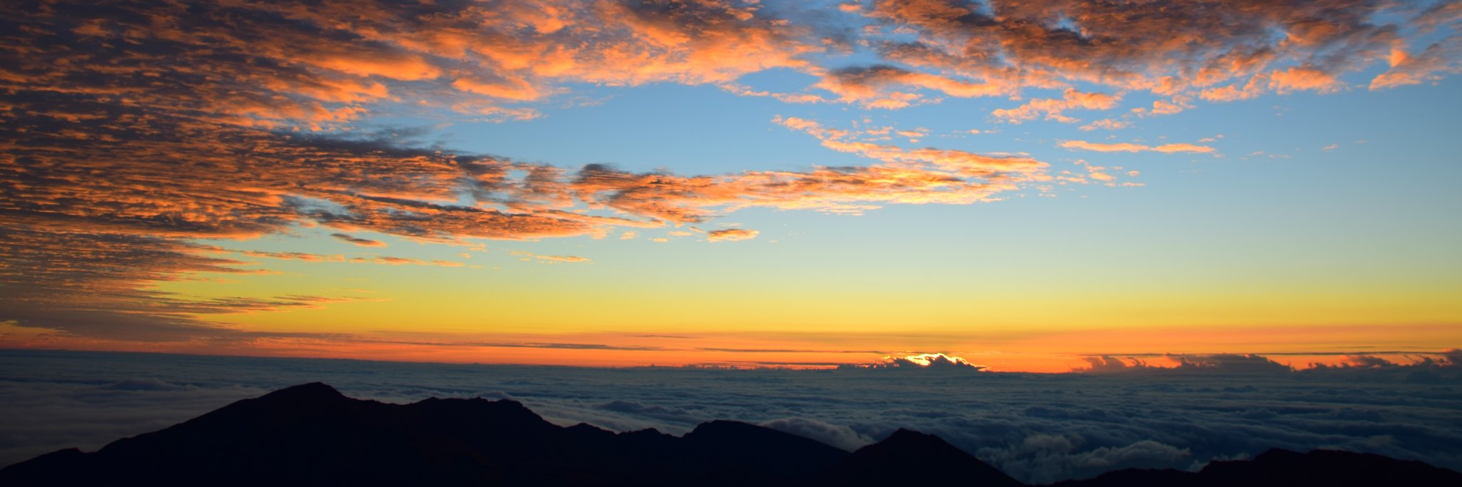 Andrea Carter banner