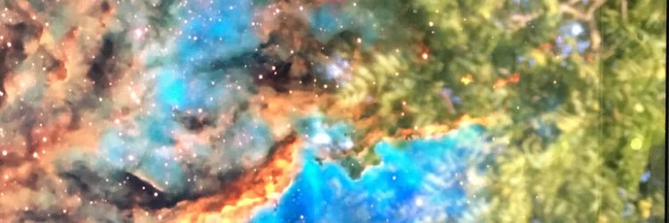 RazSampson's profile banner image