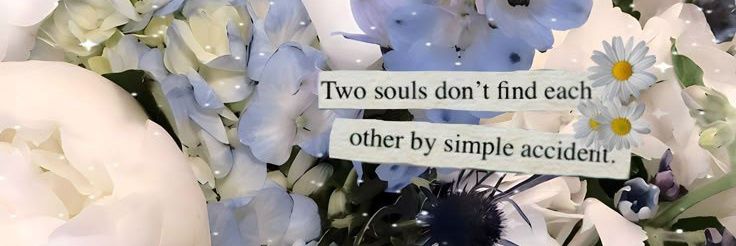 bbinapbingg's profile banner image