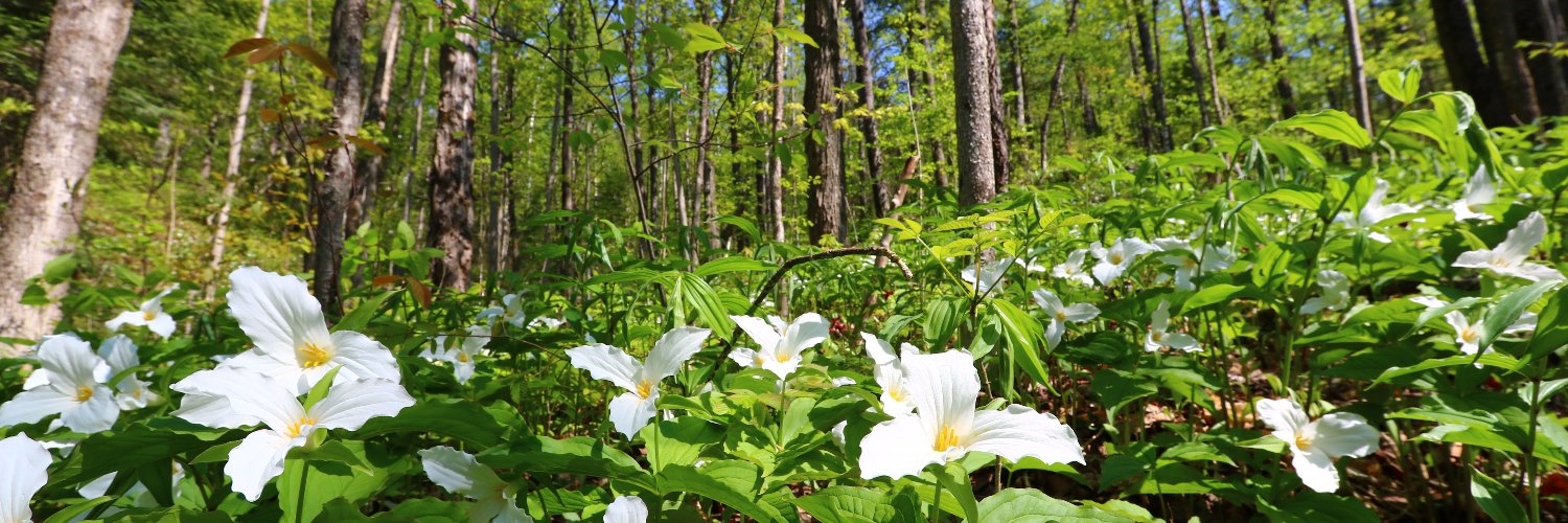 Environment Ontario banner