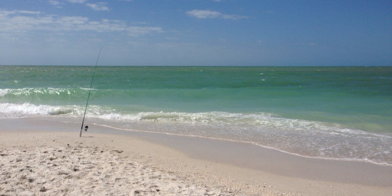 laurajohnson2's profile banner image
