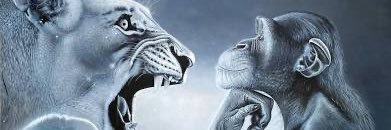 Lucha banner
