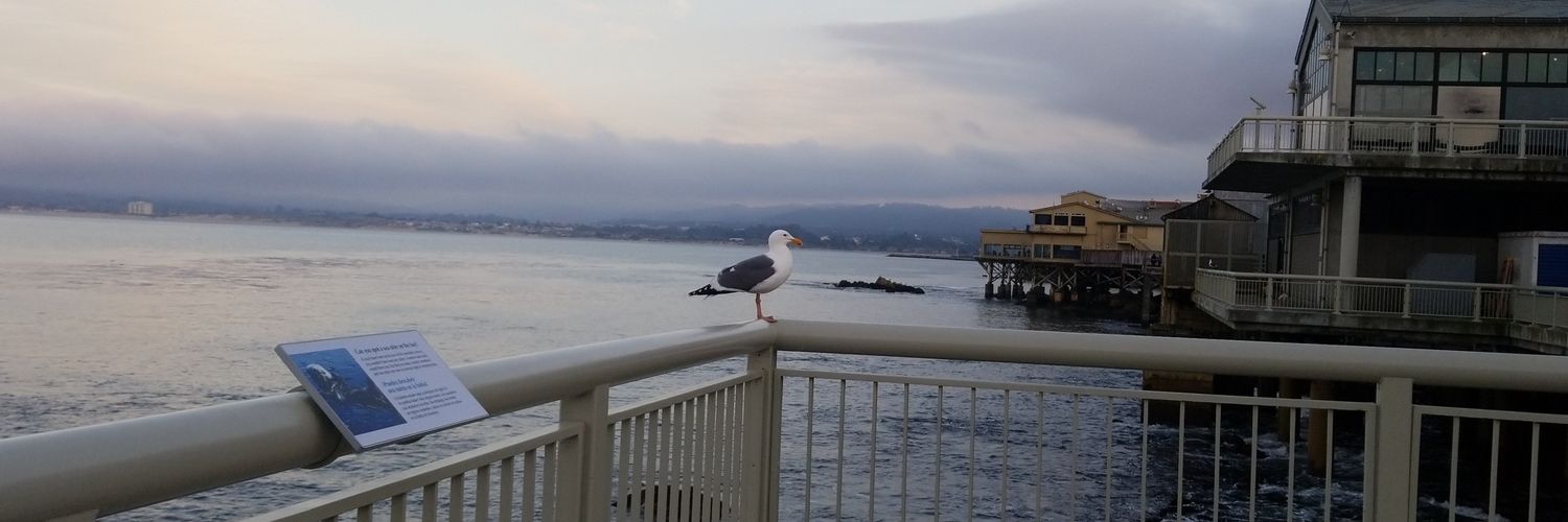 apompa24's profile banner image