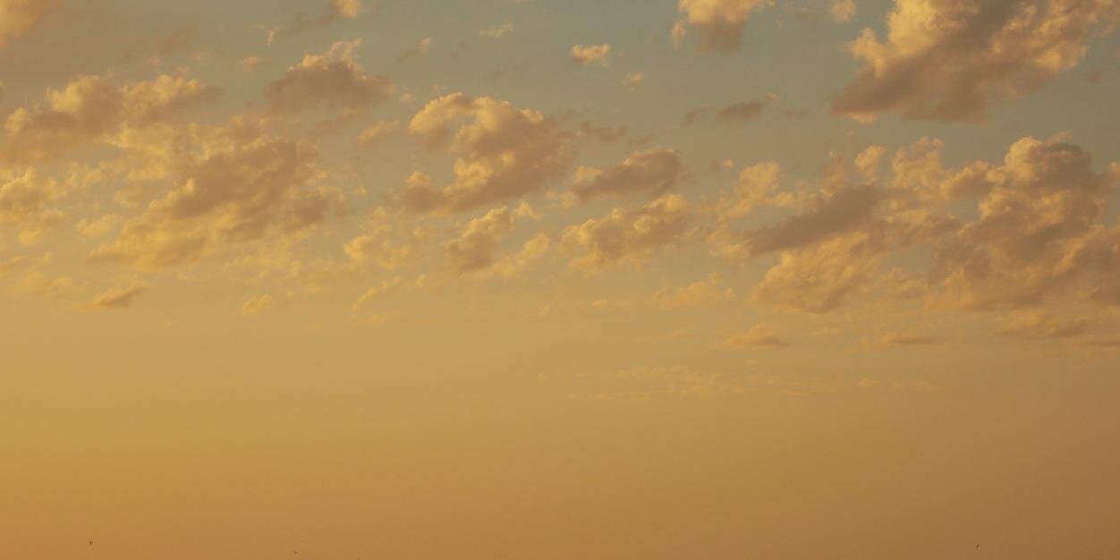 Brian Fabian Crain banner