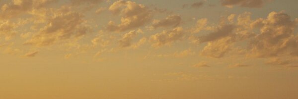 crainbf Profile Banner