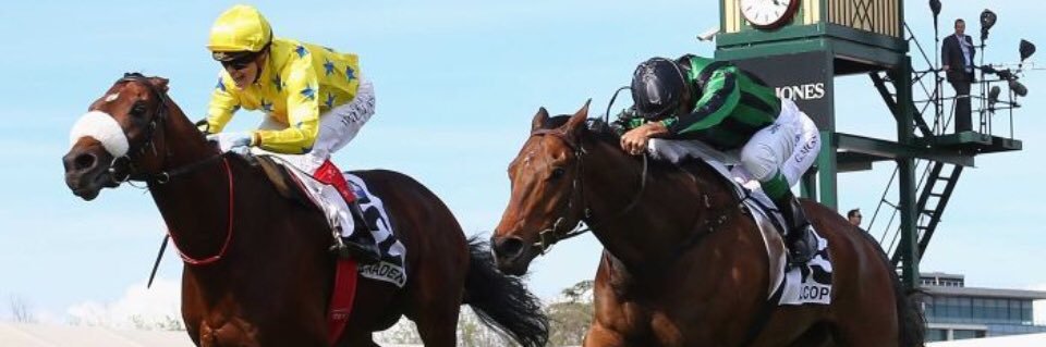 Dominic Tourneur banner