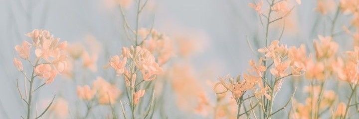 AbiMartin_OK's profile banner image