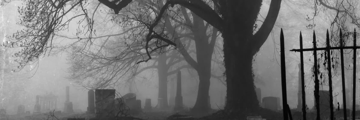 N3CR0MANTIC's profile banner image