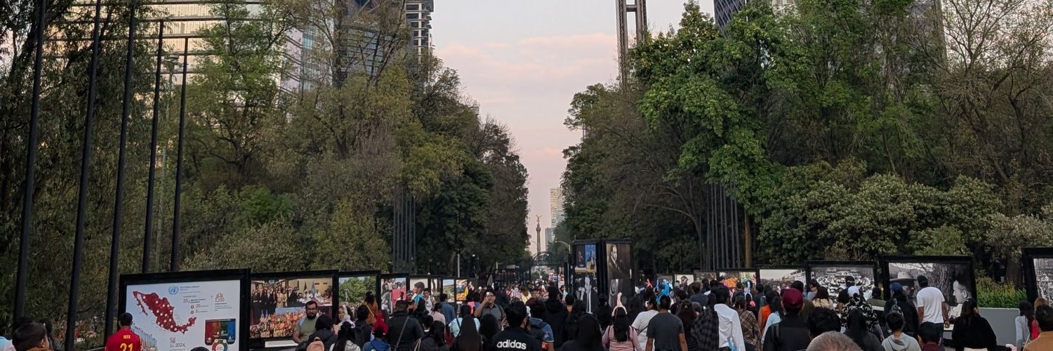 El León Santillán banner