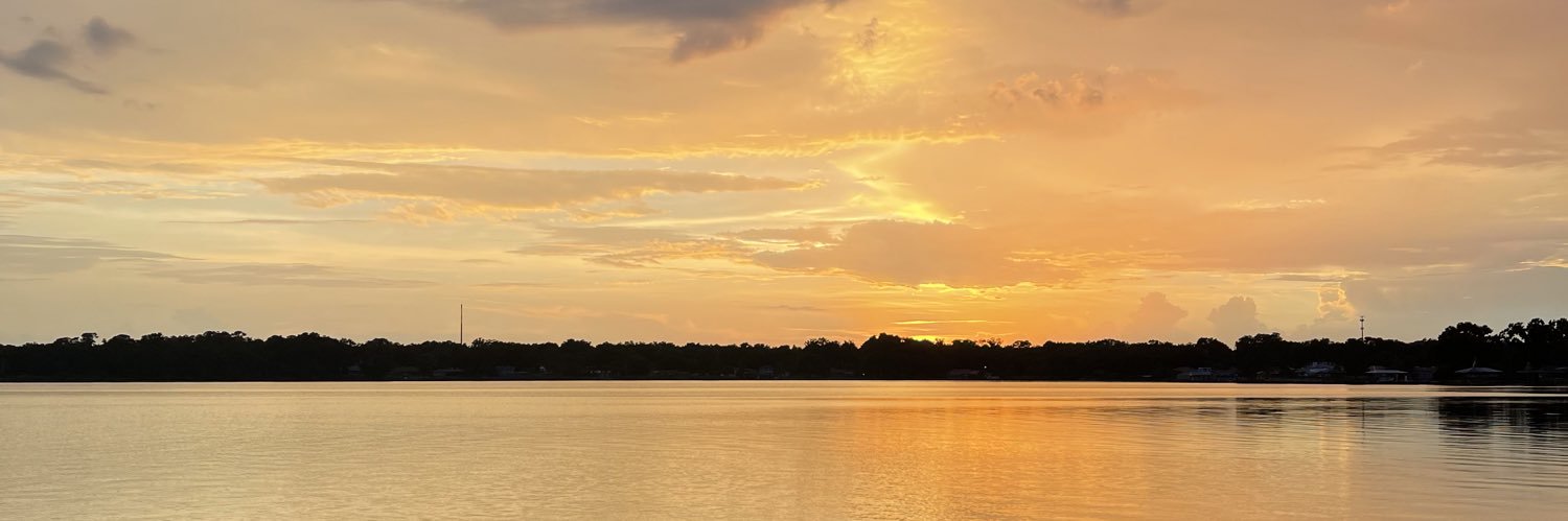 emyleedale03's profile banner image