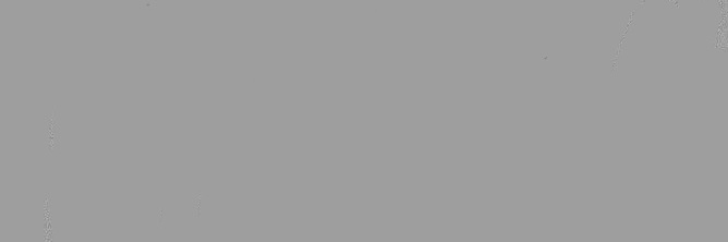 Shannon banner