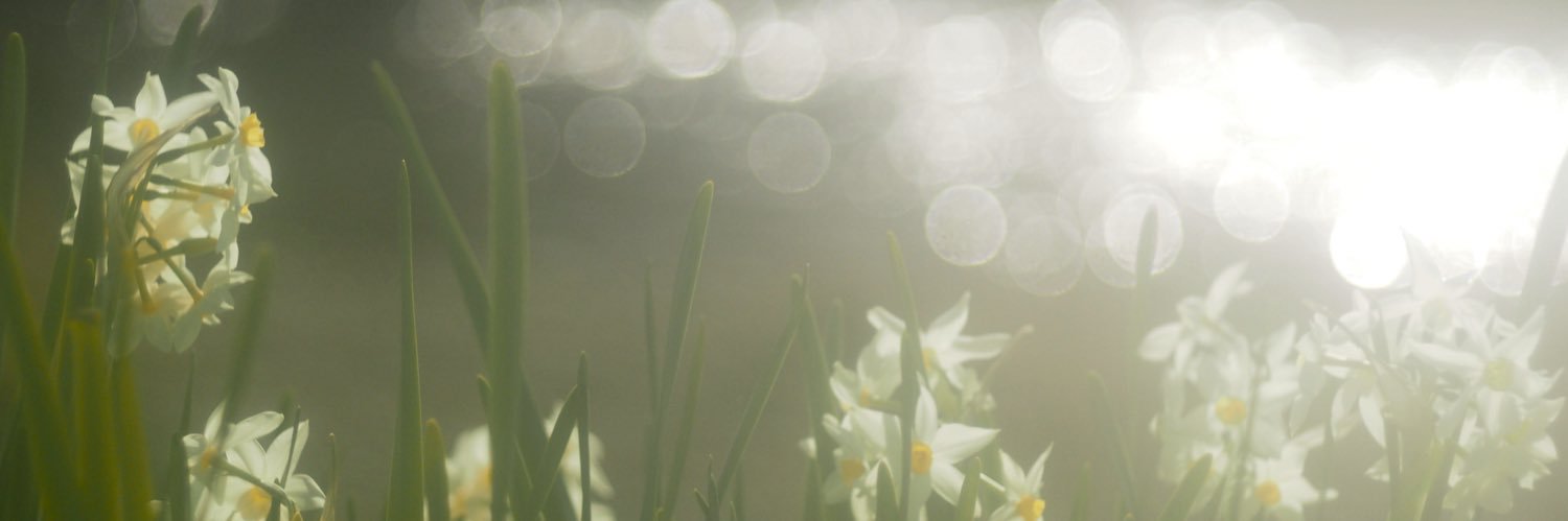 Debby31019's profile banner image