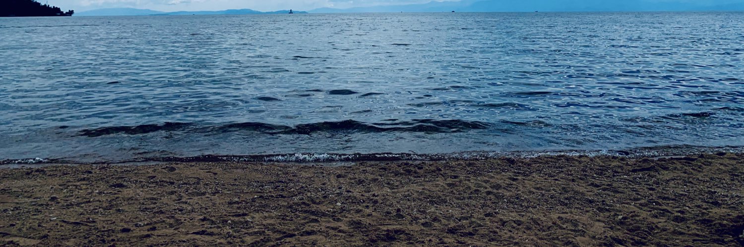 Sarah Baeni banner