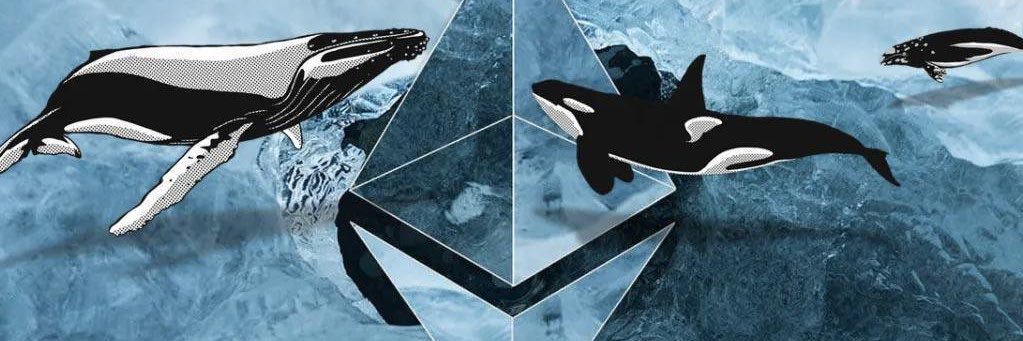 malikcreary's profile banner image