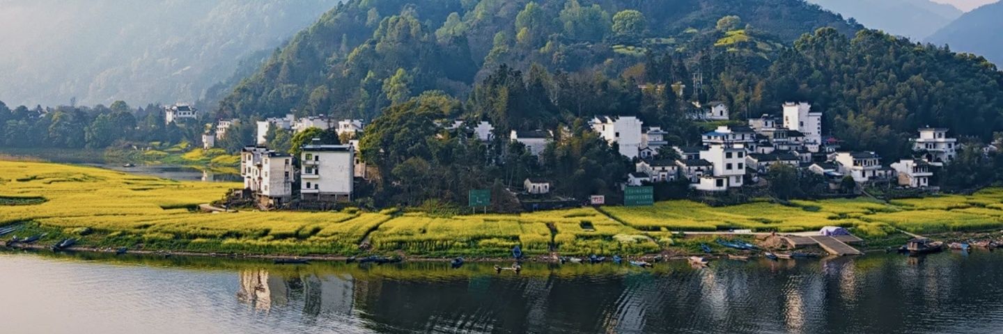 今晨午 banner