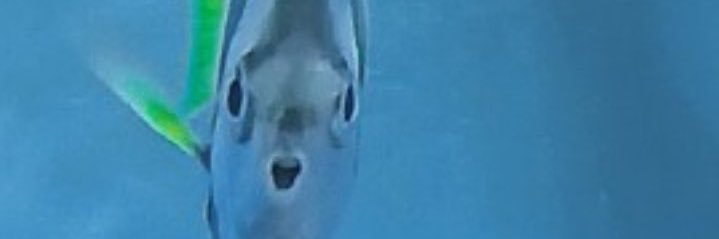 khkotbbjw's profile banner image