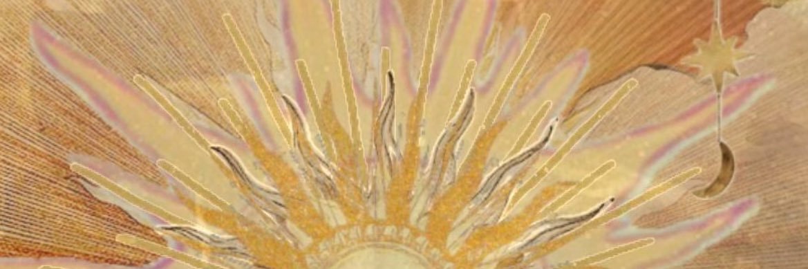 discilperii's profile banner image