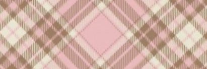 blairessa ♡ banner