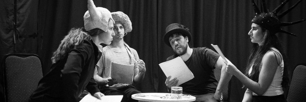 Out of the Wings banner