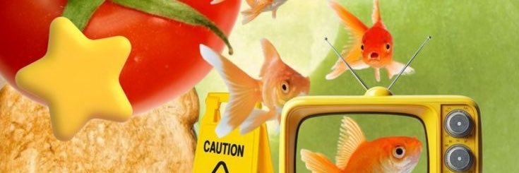 ⋆.˚ Ay²⁶𓍢🧃🍅₊ LOLOS SNBP ‘26💙 banner